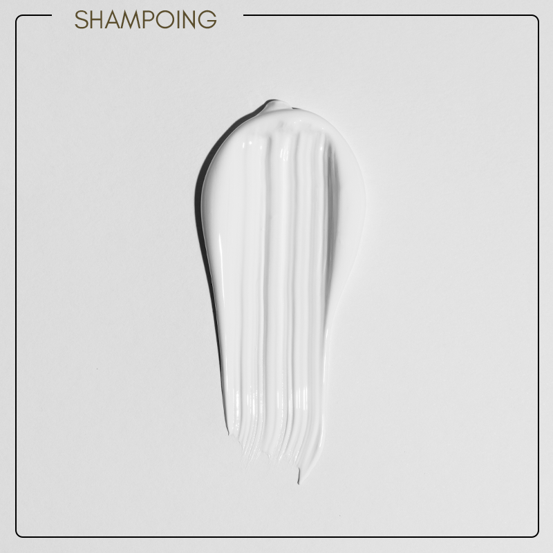 SHAMPOING RICIN HYDRATANT REPARATEUR